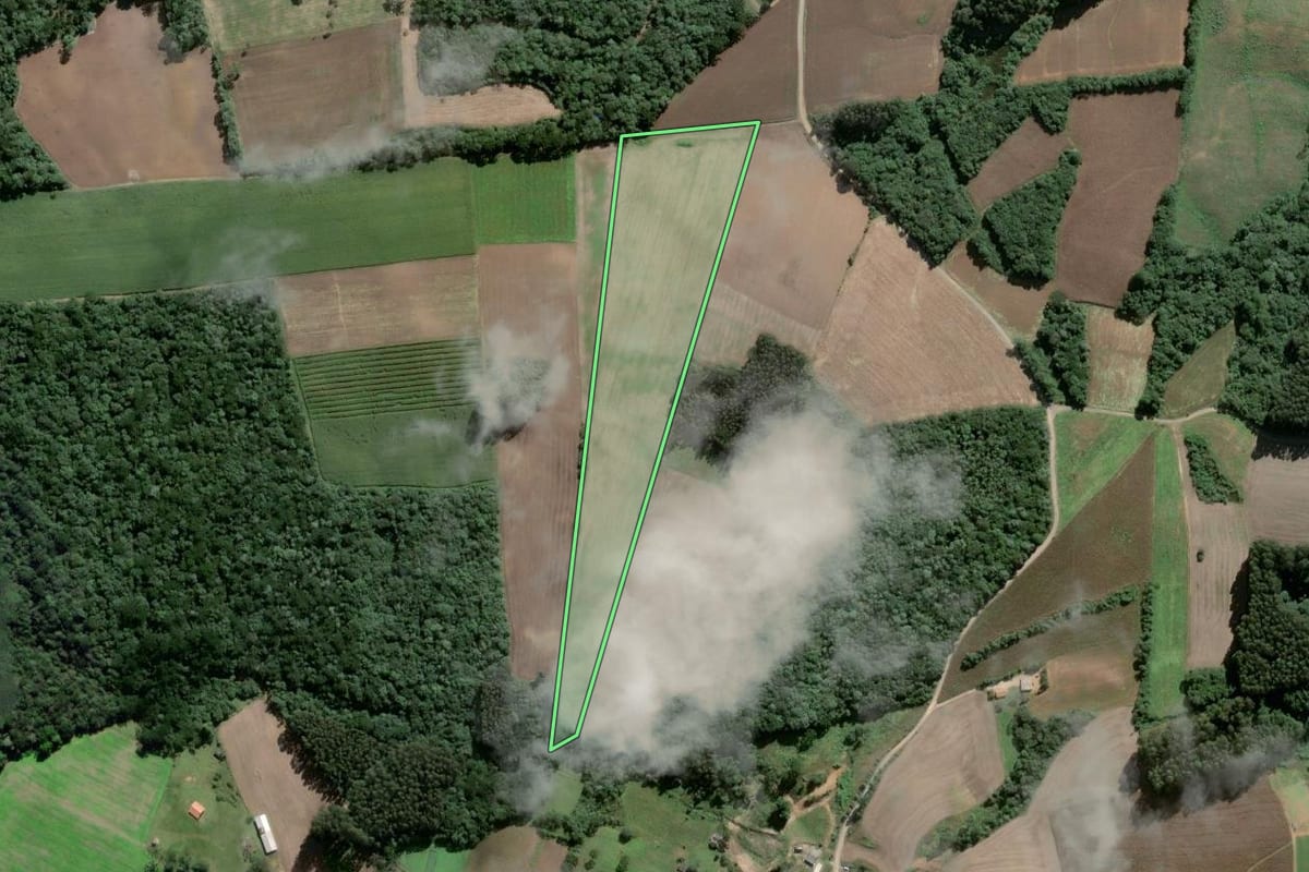 Imagem de satélite do imóvel rural em Piên (PR), com o contorno declarado no CAR desenhado por cima.