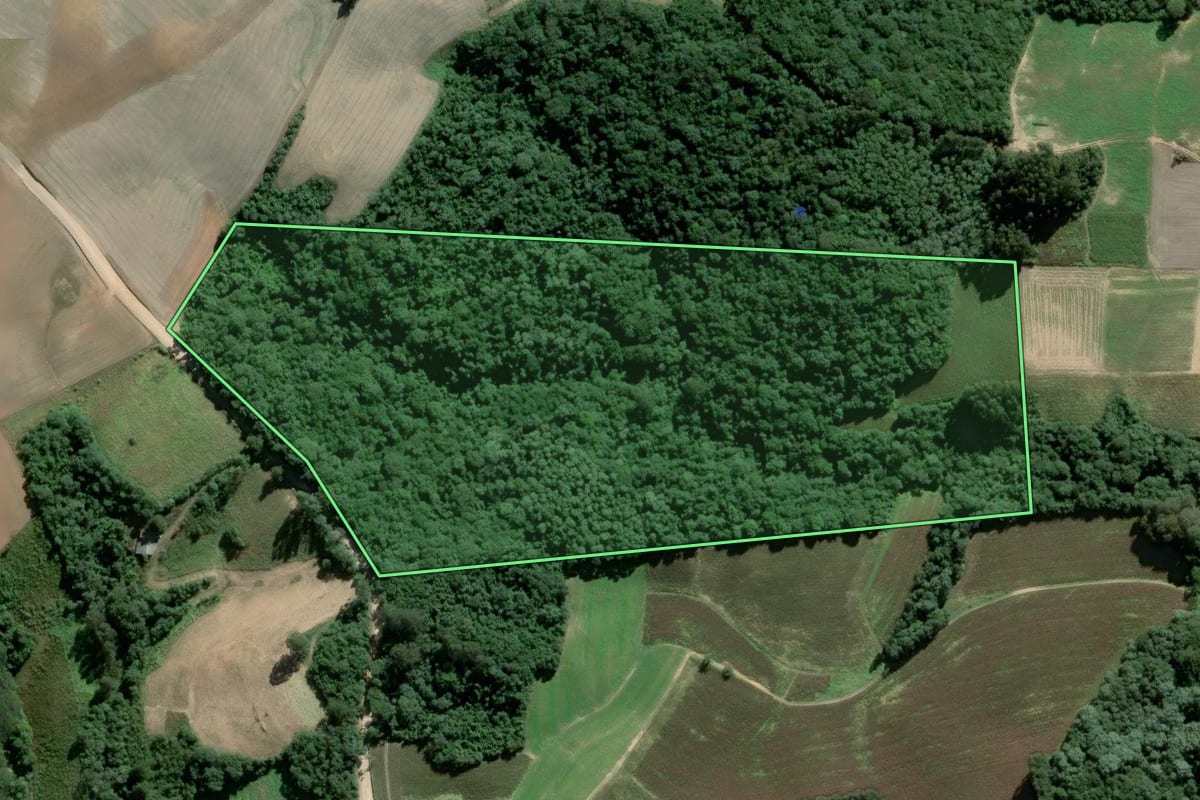 Imagem de satélite do imóvel rural em Piên (PR), com o contorno declarado no CAR desenhado por cima.