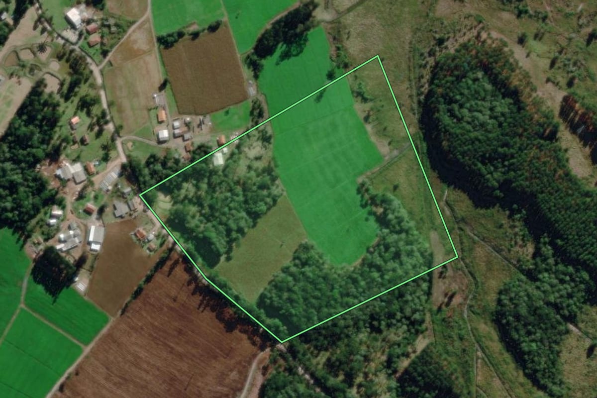Imagem de satélite do imóvel rural em Piên (PR), com o contorno declarado no CAR desenhado por cima.