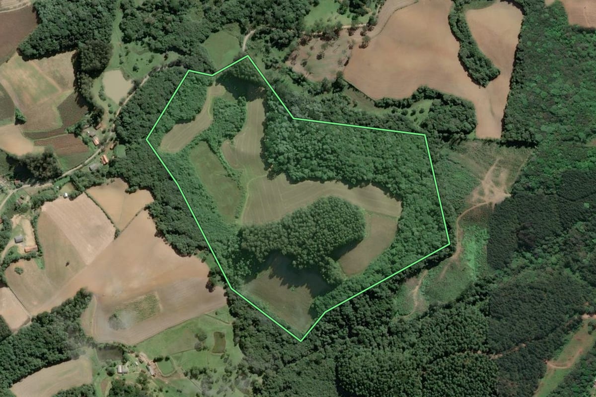 Imagem de satélite do imóvel rural em Piên (PR), com o contorno declarado no CAR desenhado por cima.