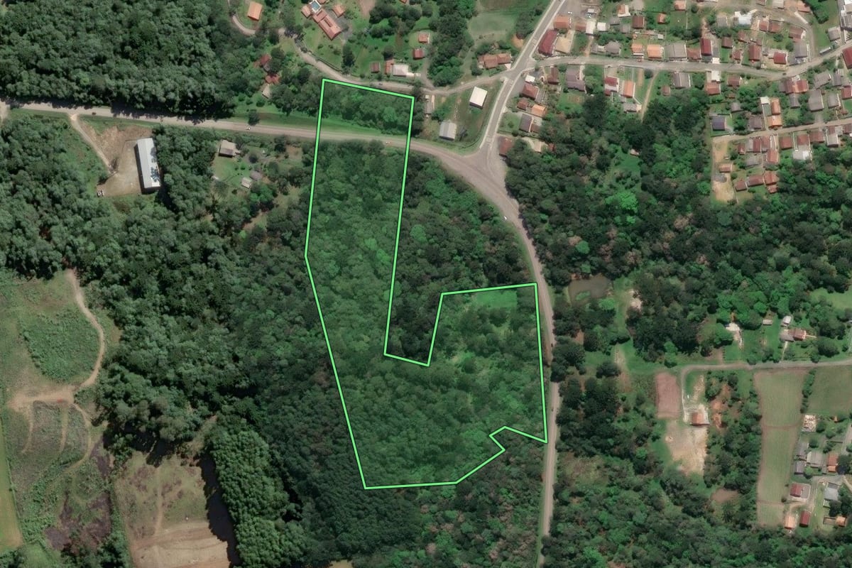 Imagem de satélite do imóvel rural em Piên (PR), com o contorno declarado no CAR desenhado por cima.