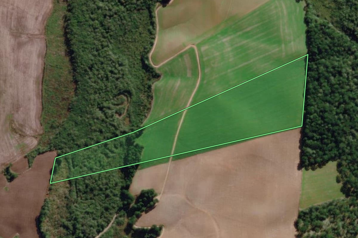 Imagem de satélite do imóvel rural em Piên (PR), com o contorno declarado no CAR desenhado por cima.