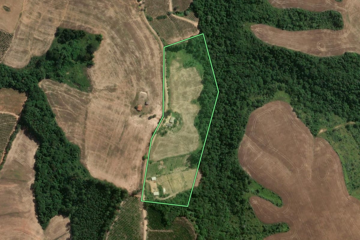 Imagem de satélite do imóvel rural em Pinhalão (PR), com o contorno declarado no CAR desenhado por cima.
