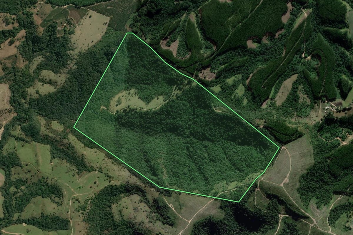 Imagem de satélite do imóvel rural em Pinhalão (PR), com o contorno declarado no CAR desenhado por cima.
