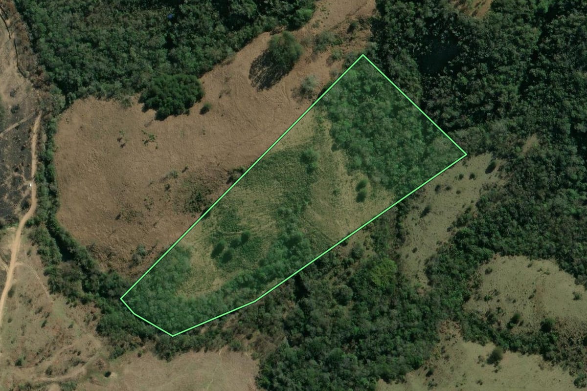 Imagem de satélite do imóvel rural em Pinhalão (PR), com o contorno declarado no CAR desenhado por cima.