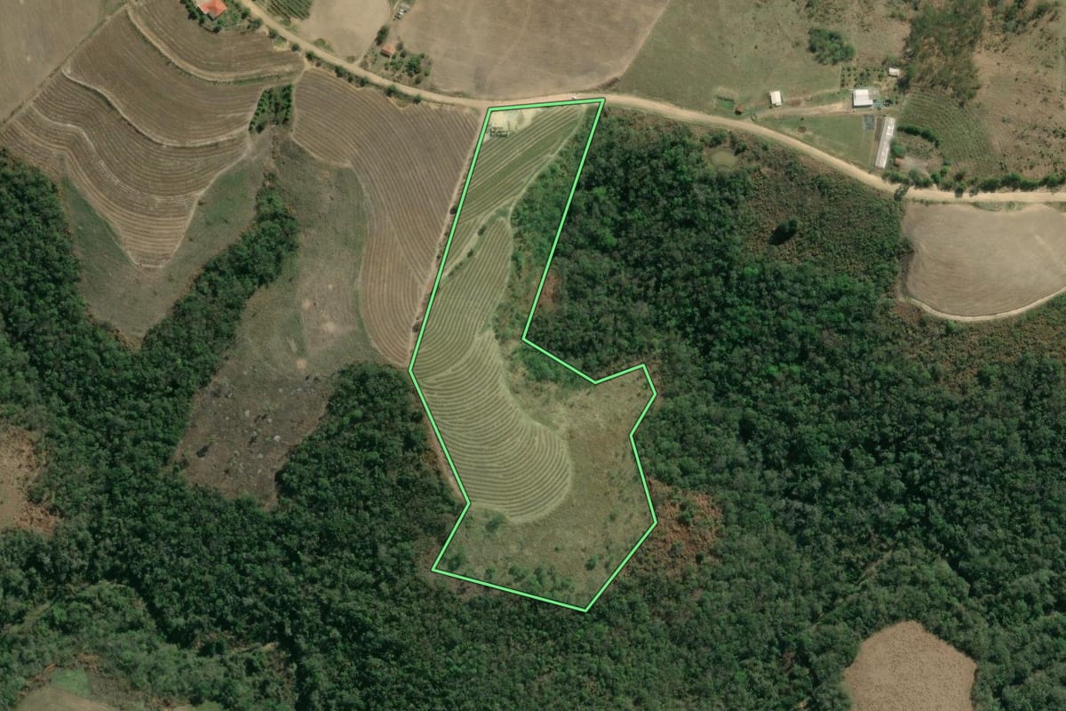 Imagem de satélite do imóvel rural em Pinhalão (PR), com o contorno declarado no CAR desenhado por cima.