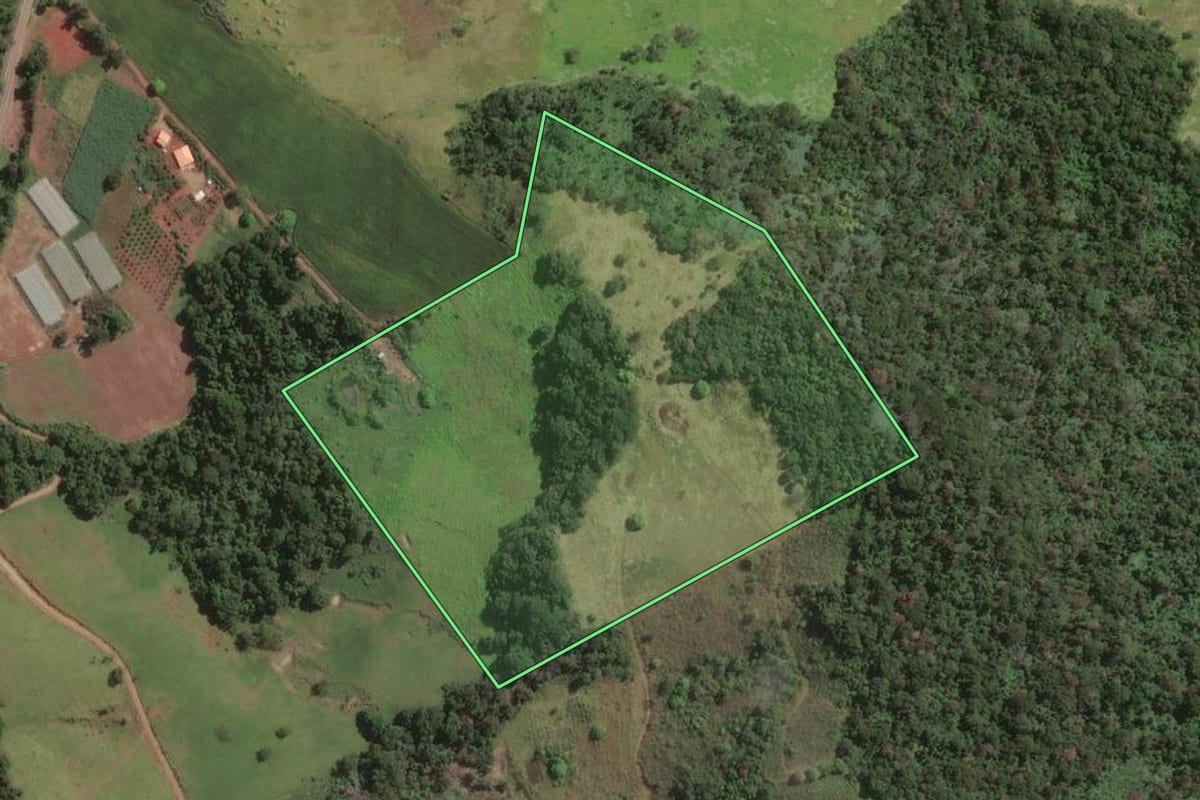 Imagem de satélite do imóvel rural em Pinhalão (PR), com o contorno declarado no CAR desenhado por cima.