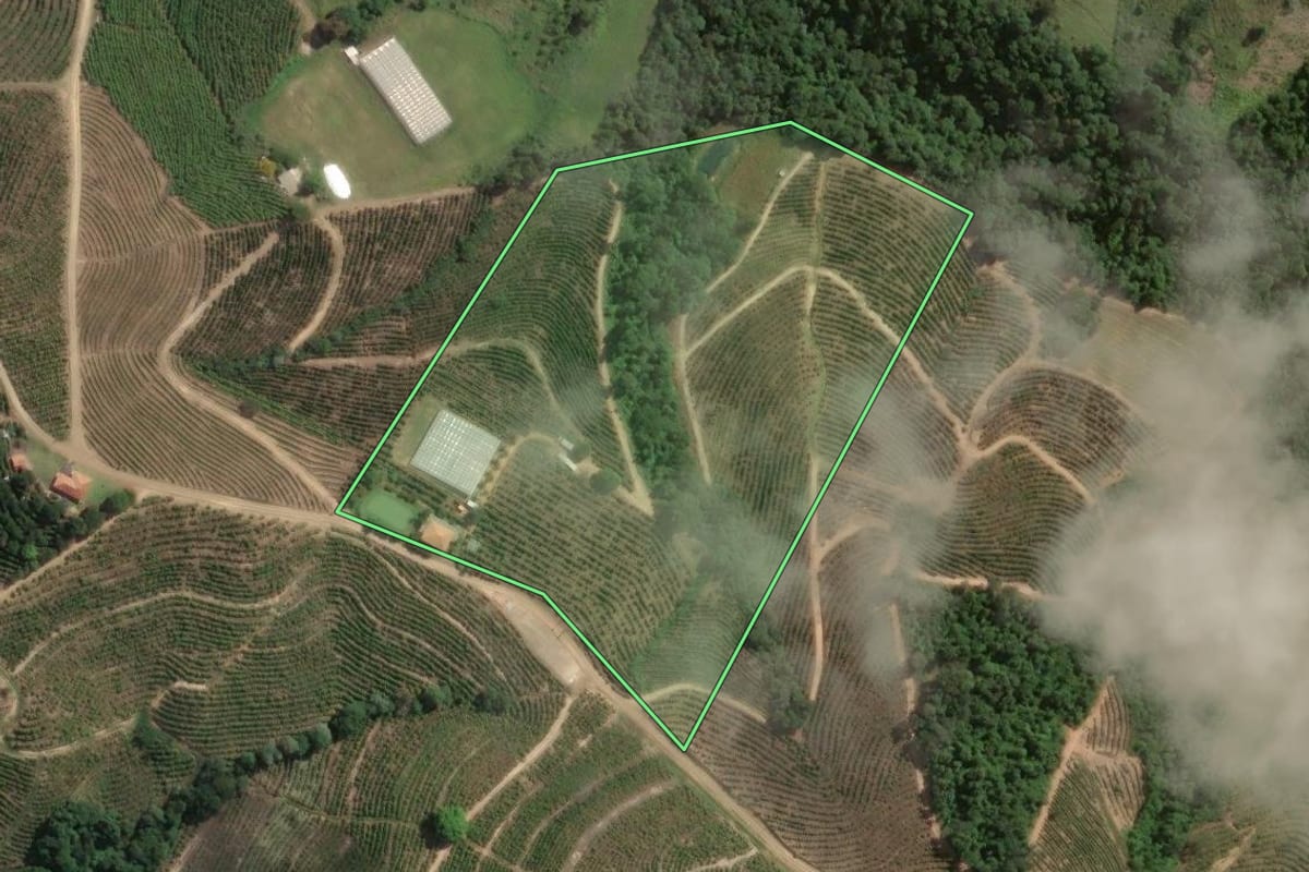 Imagem de satélite do imóvel rural em Pinhalão (PR), com o contorno declarado no CAR desenhado por cima.