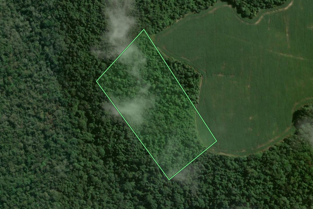 Imagem de satélite do imóvel rural em Pinhalão (PR), com o contorno declarado no CAR desenhado por cima.