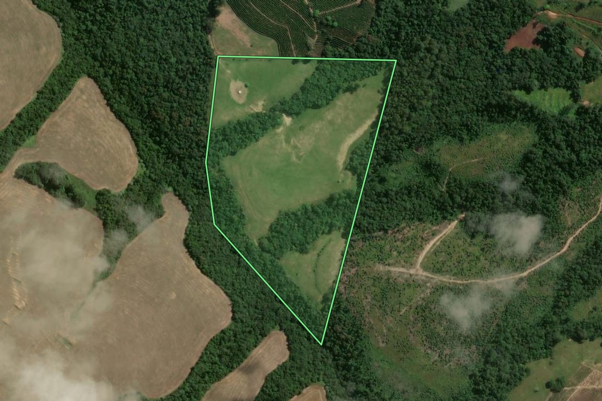 Imagem de satélite do imóvel rural em Pinhalão (PR), com o contorno declarado no CAR desenhado por cima.