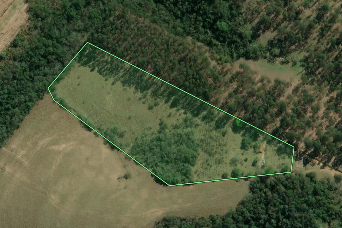 Imagem de satélite do imóvel rural em Pinhalão (PR), com o contorno declarado no CAR desenhado por cima.