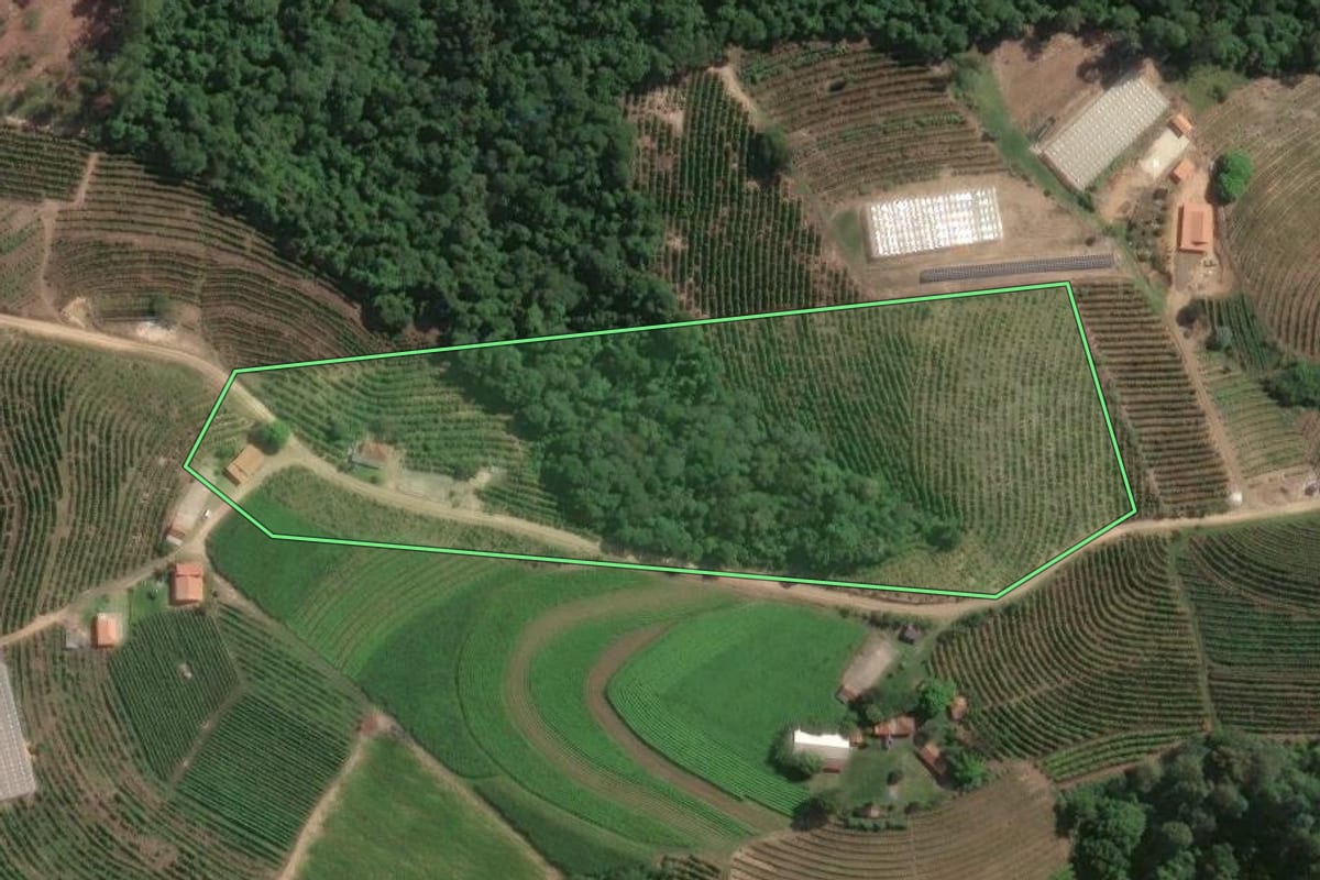 Imagem de satélite do imóvel rural em Pinhalão (PR), com o contorno declarado no CAR desenhado por cima.