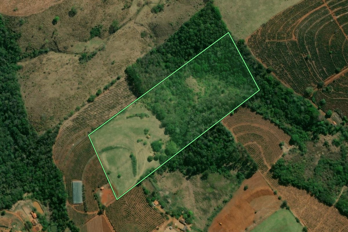 Imagem de satélite do imóvel rural em Pinhalão (PR), com o contorno declarado no CAR desenhado por cima.