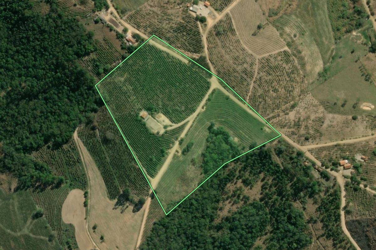 Imagem de satélite do imóvel rural em Pinhalão (PR), com o contorno declarado no CAR desenhado por cima.