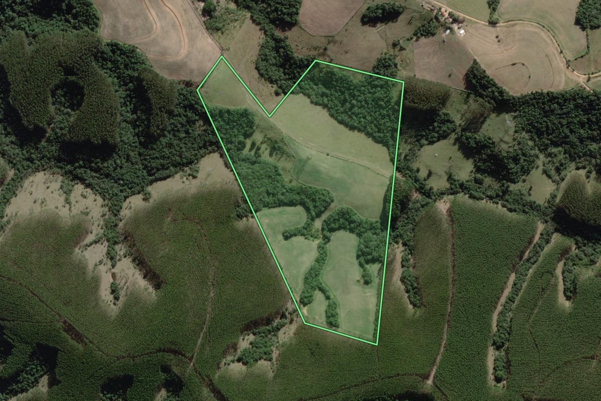 Imagem de satélite do imóvel rural em Pinhalão (PR), com o contorno declarado no CAR desenhado por cima.