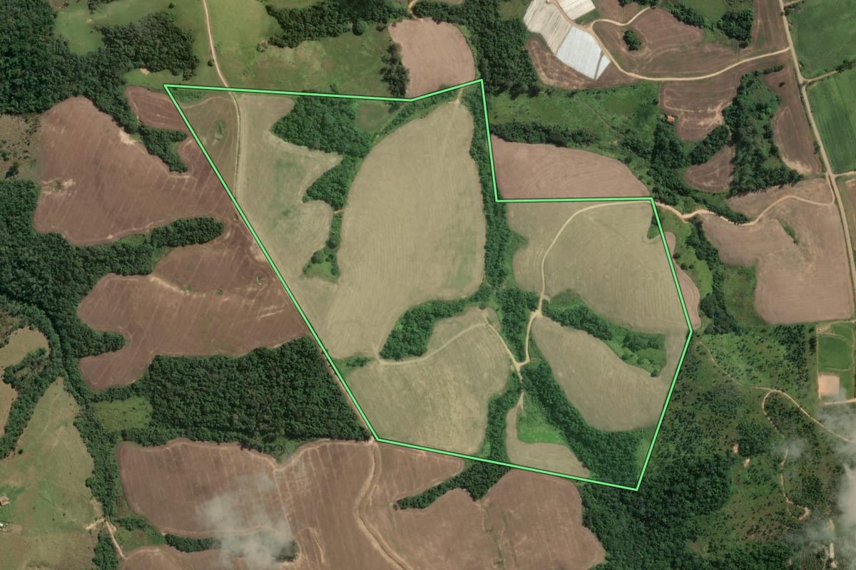 Imagem de satélite do imóvel rural em Pinhalão (PR), com o contorno declarado no CAR desenhado por cima.