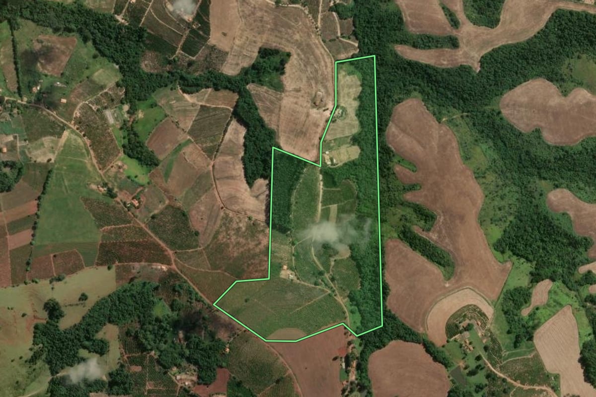Imagem de satélite do imóvel rural em Pinhalão (PR), com o contorno declarado no CAR desenhado por cima.