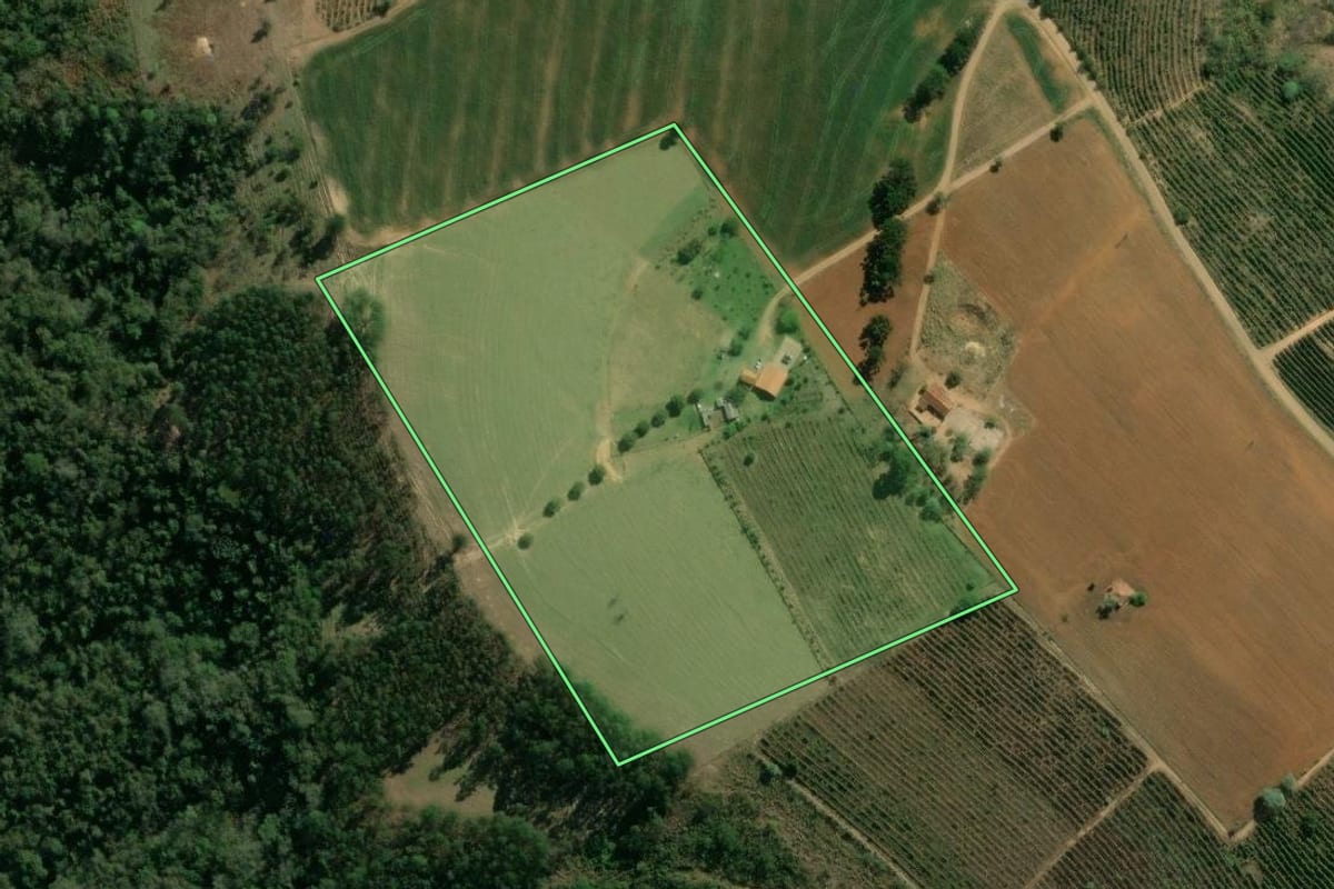 Imagem de satélite do imóvel rural em Pinhalão (PR), com o contorno declarado no CAR desenhado por cima.