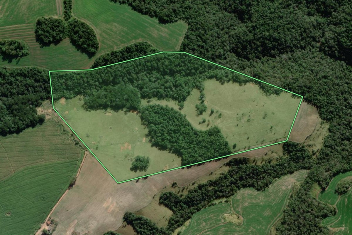 Imagem de satélite do imóvel rural em Pinhalão (PR), com o contorno declarado no CAR desenhado por cima.
