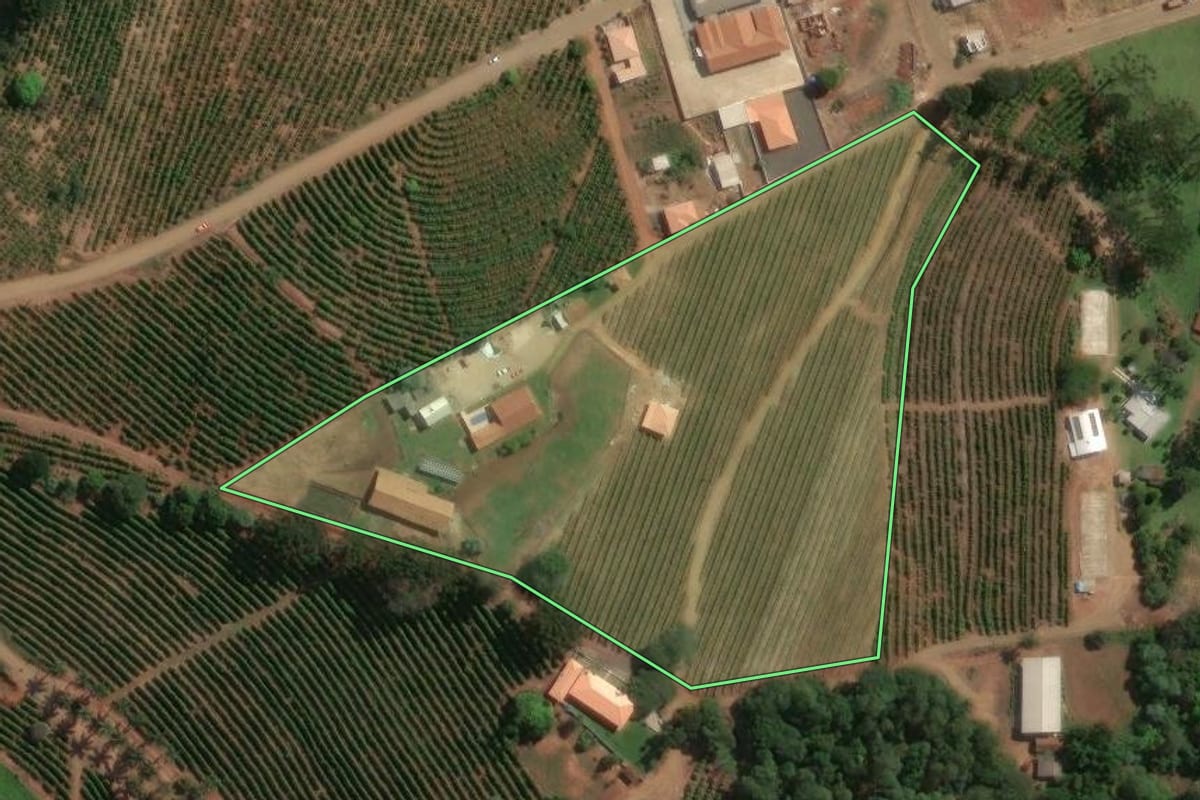 Imagem de satélite do imóvel rural em Pinhalão (PR), com o contorno declarado no CAR desenhado por cima.