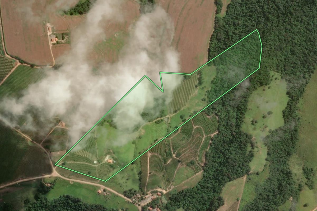 Imagem de satélite do imóvel rural em Pinhalão (PR), com o contorno declarado no CAR desenhado por cima.