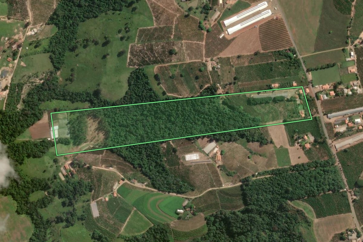 Imagem de satélite do imóvel rural em Pinhalão (PR), com o contorno declarado no CAR desenhado por cima.