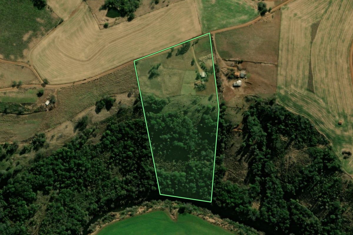 Imagem de satélite do imóvel rural em Pinhal de São Bento (PR), com o contorno declarado no CAR desenhado por cima.