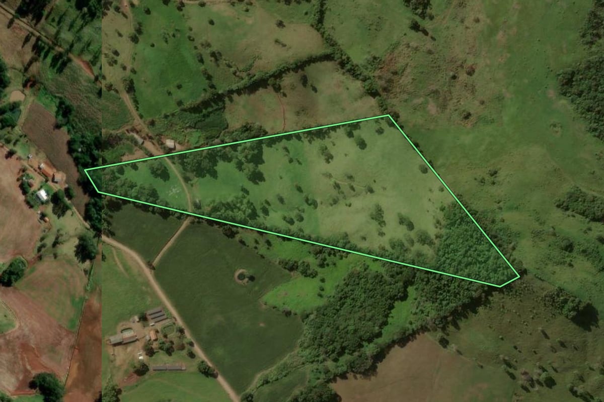 Imagem de satélite do imóvel rural em Pinhal de São Bento (PR), com o contorno declarado no CAR desenhado por cima.