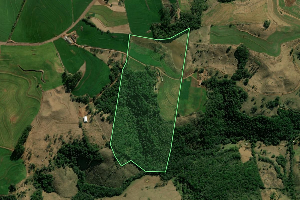 Imagem de satélite do imóvel rural em Pinhal de São Bento (PR), com o contorno declarado no CAR desenhado por cima.