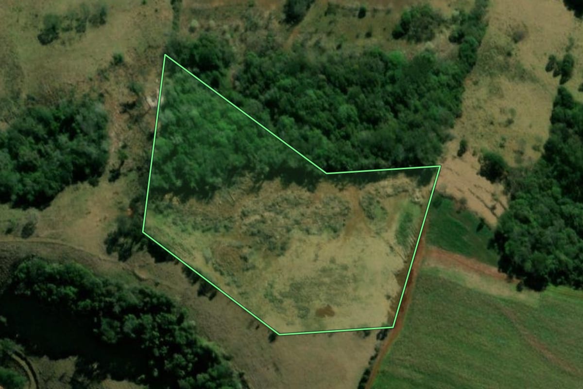 Imagem de satélite do imóvel rural em Pinhal de São Bento (PR), com o contorno declarado no CAR desenhado por cima.