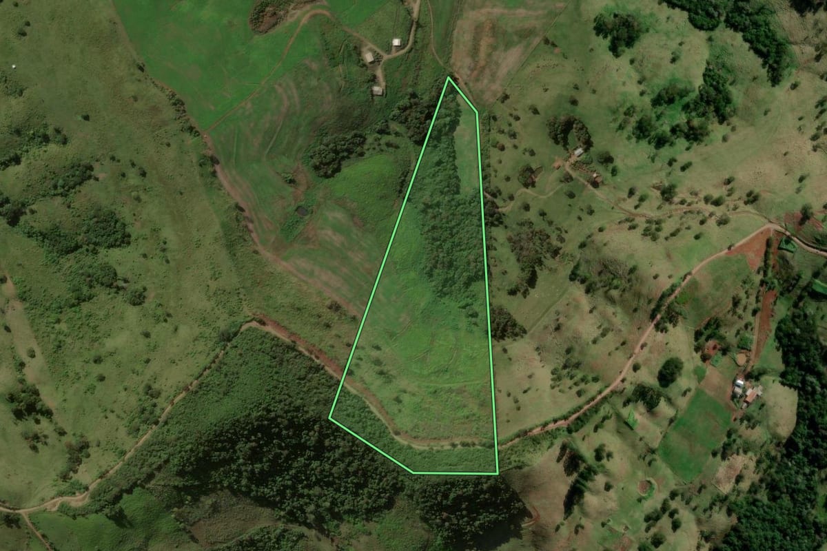 Imagem de satélite do imóvel rural em Pinhal de São Bento (PR), com o contorno declarado no CAR desenhado por cima.