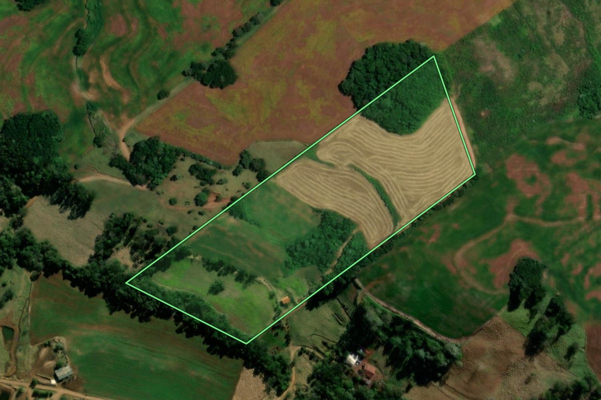 Imagem de satélite do imóvel rural em Pinhal de São Bento (PR), com o contorno declarado no CAR desenhado por cima.