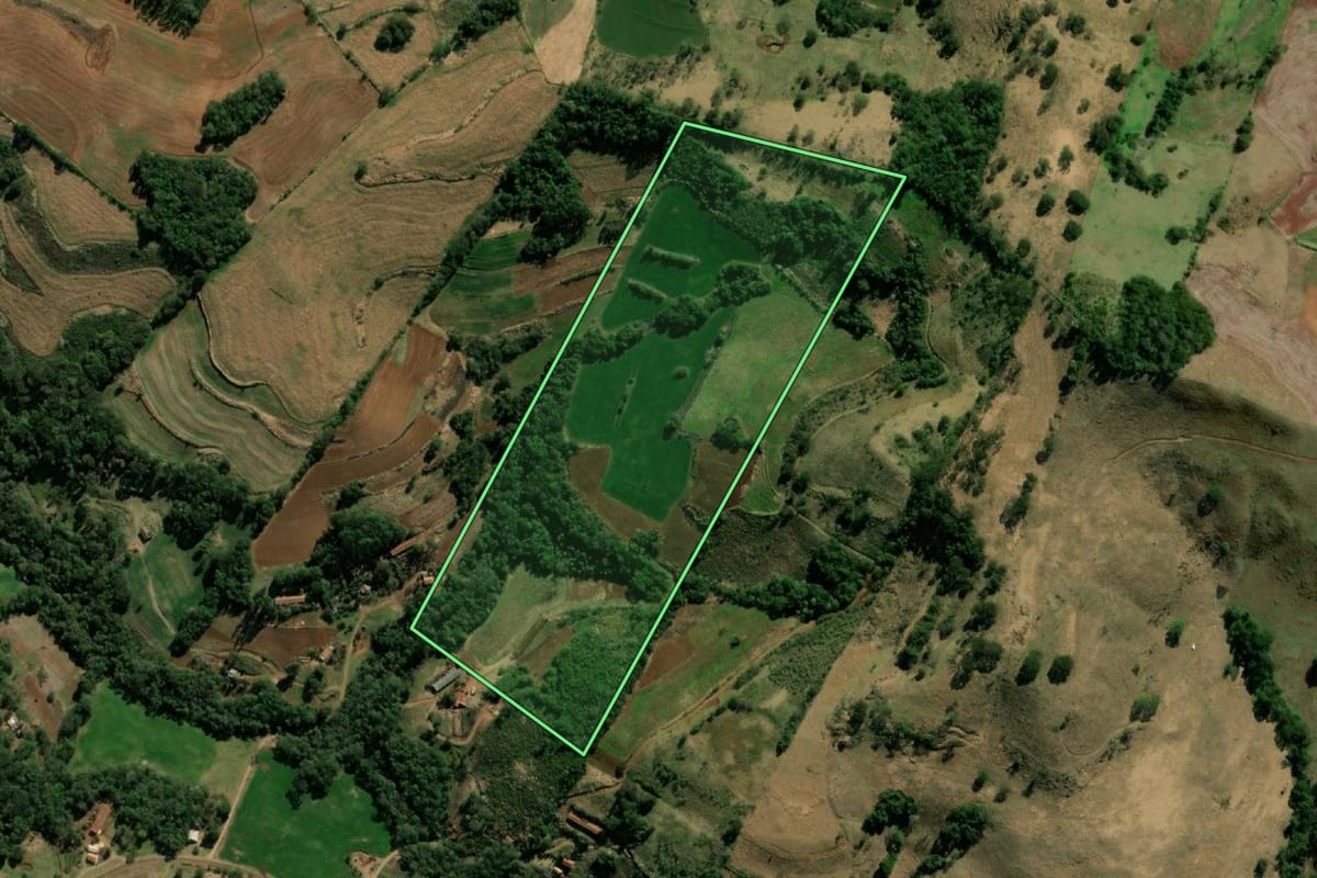 Imagem de satélite do imóvel rural em Pinhal de São Bento (PR), com o contorno declarado no CAR desenhado por cima.