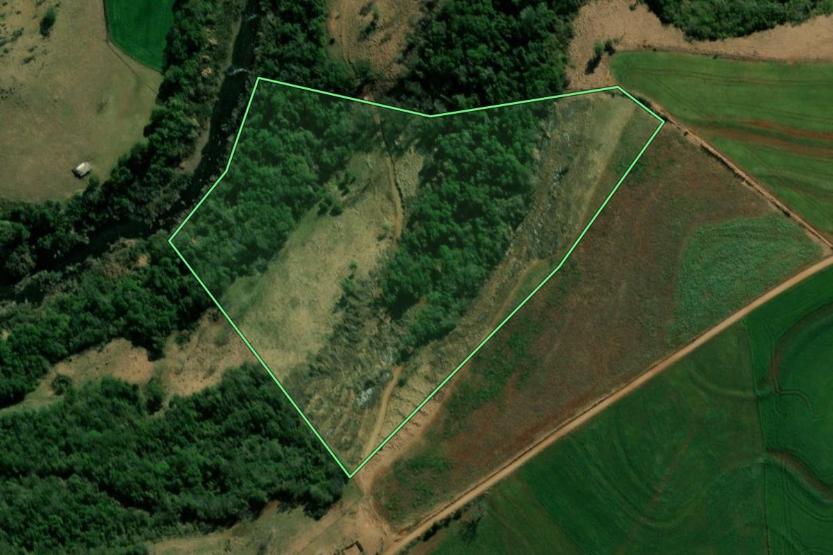 Imagem de satélite do imóvel rural em Pinhal de São Bento (PR), com o contorno declarado no CAR desenhado por cima.