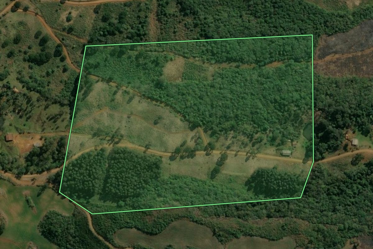 Imagem de satélite do imóvel rural em Pinhão (PR), com o contorno declarado no CAR desenhado por cima.