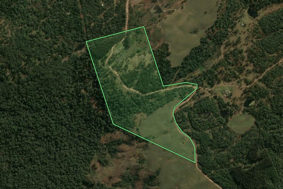 Imagem de satélite do imóvel rural em Pinhão (PR), com o contorno declarado no CAR desenhado por cima.