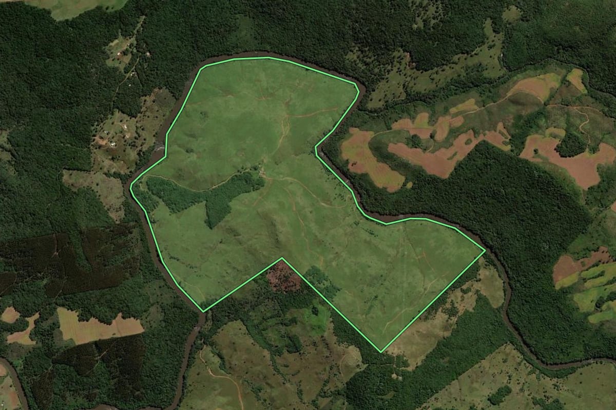 Imagem de satélite do imóvel rural em Pinhão (PR), com o contorno declarado no CAR desenhado por cima.