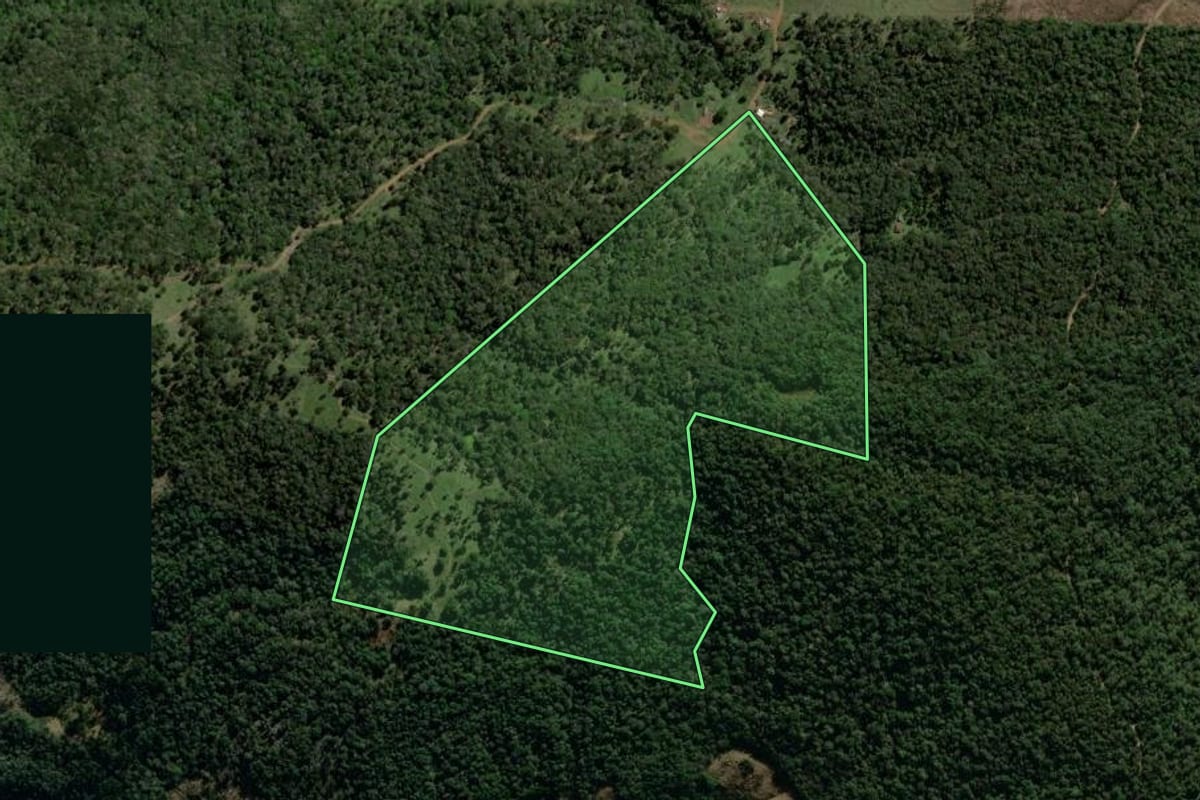 Imagem de satélite do imóvel rural em Pinhão (PR), com o contorno declarado no CAR desenhado por cima.