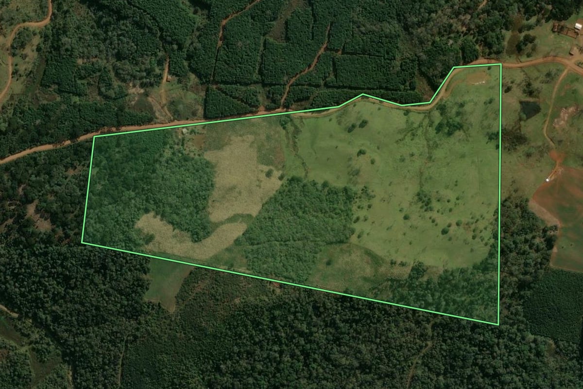 Imagem de satélite do imóvel rural em Pinhão (PR), com o contorno declarado no CAR desenhado por cima.