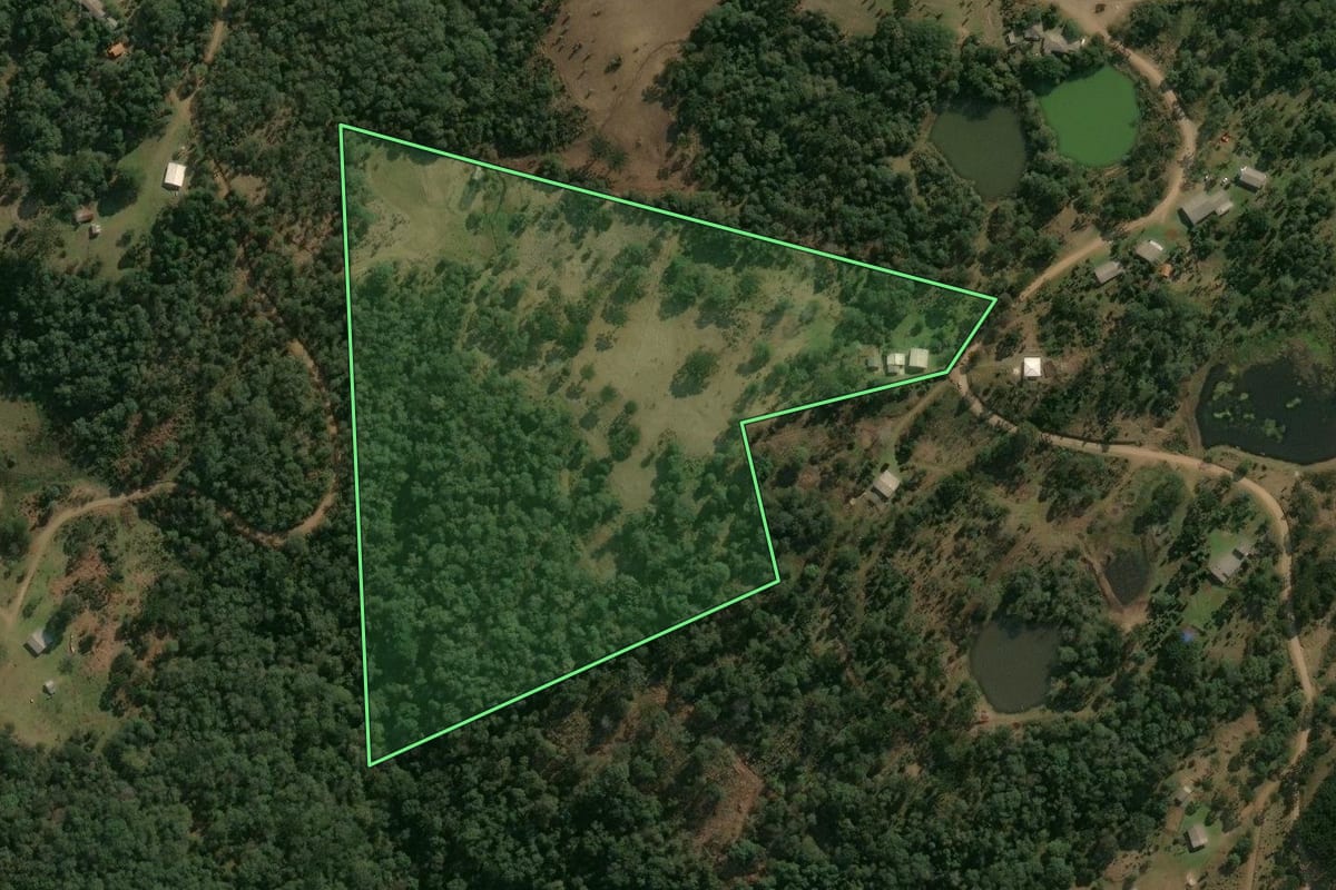 Imagem de satélite do imóvel rural em Pinhão (PR), com o contorno declarado no CAR desenhado por cima.
