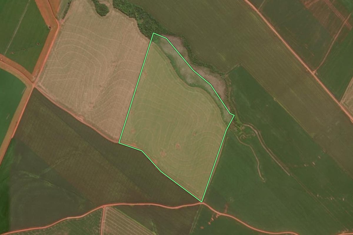 Imagem de satélite do imóvel rural em Pinhão (PR), com o contorno declarado no CAR desenhado por cima.