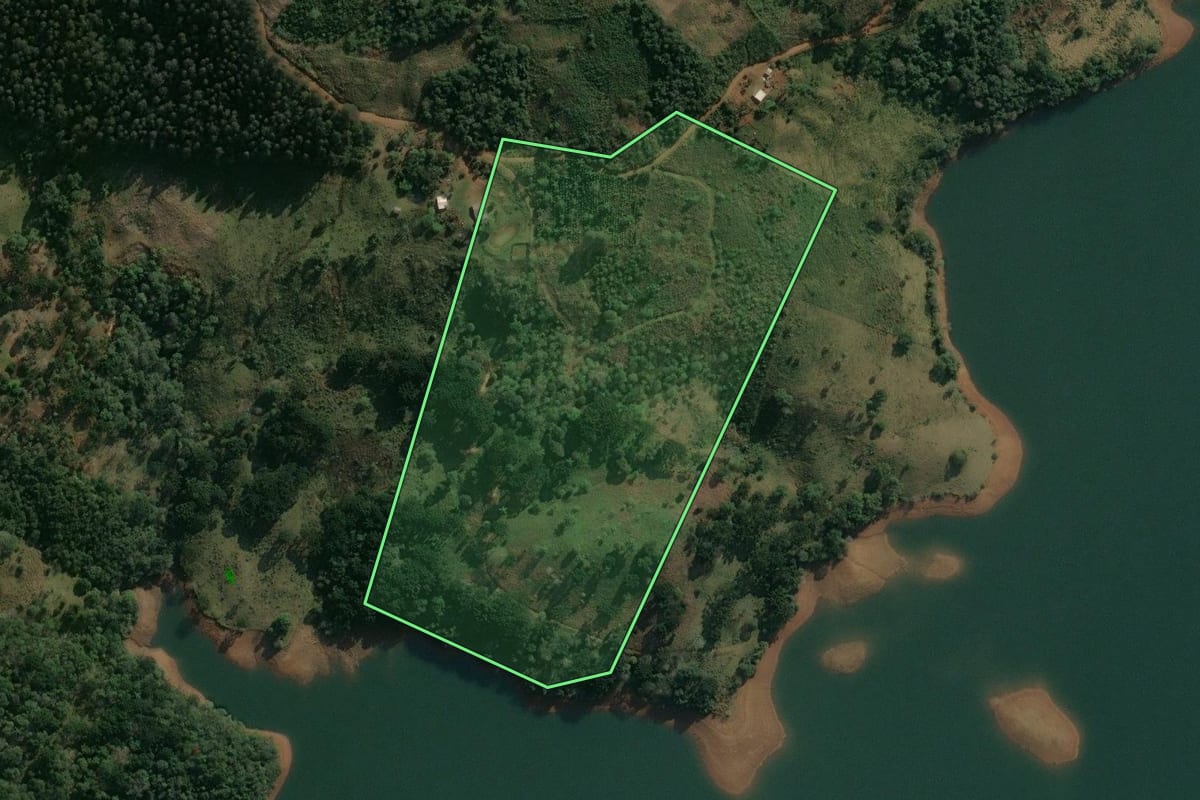 Imagem de satélite do imóvel rural em Pinhão (PR), com o contorno declarado no CAR desenhado por cima.