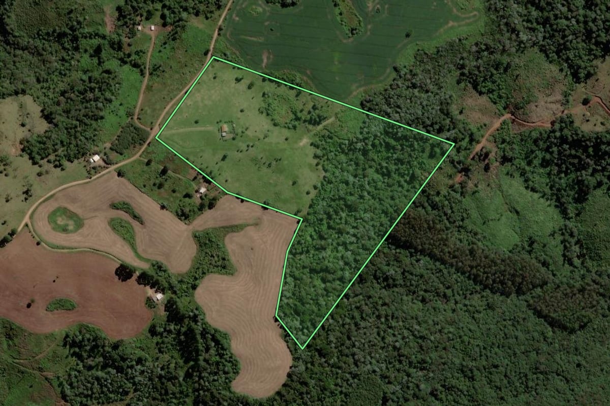 Imagem de satélite do imóvel rural em Pinhão (PR), com o contorno declarado no CAR desenhado por cima.