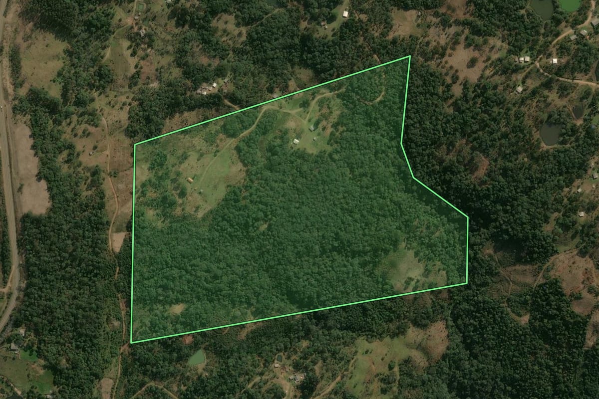 Imagem de satélite do imóvel rural em Pinhão (PR), com o contorno declarado no CAR desenhado por cima.