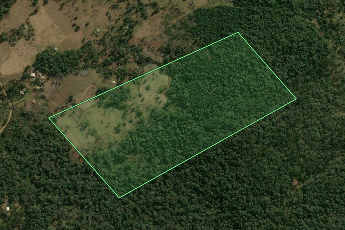 Imagem de satélite do imóvel rural em Pinhão (PR), com o contorno declarado no CAR desenhado por cima.