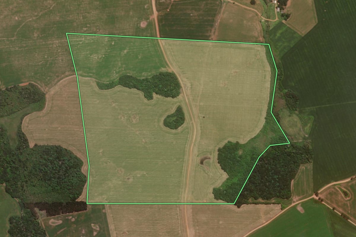 Imagem de satélite do imóvel rural em Pinhão (PR), com o contorno declarado no CAR desenhado por cima.