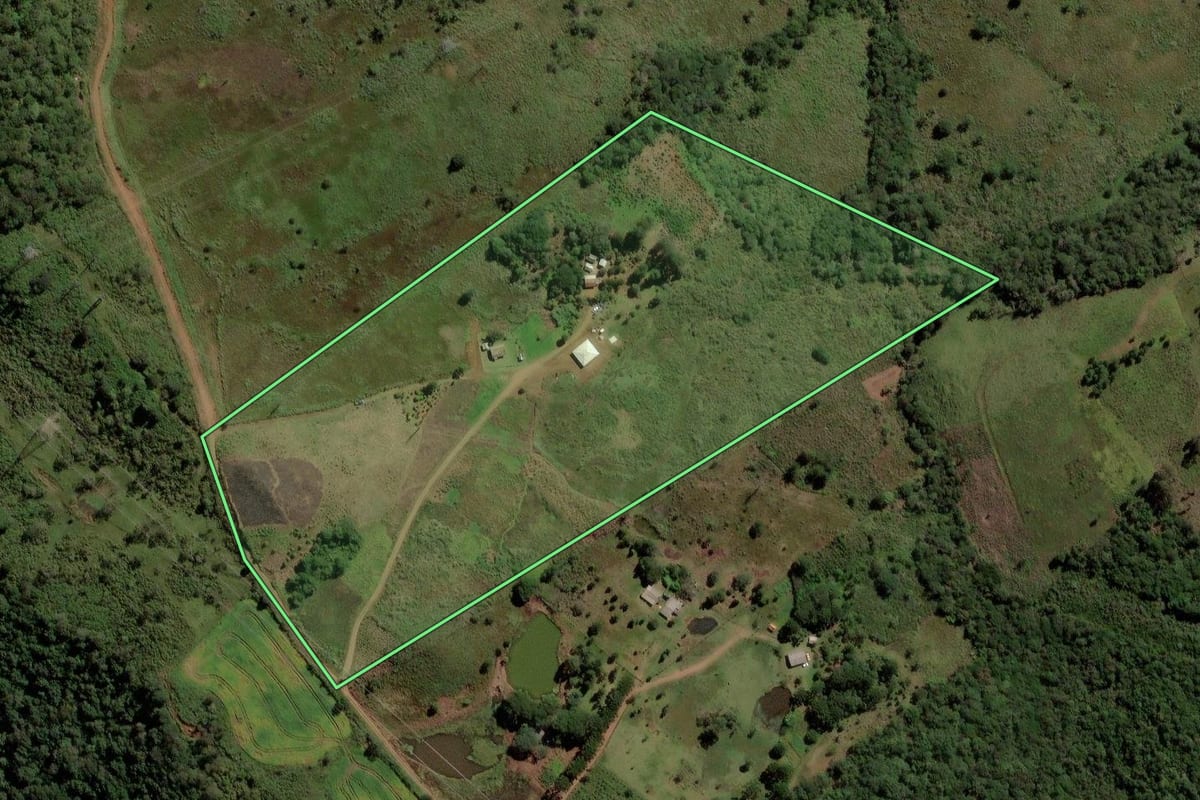 Imagem de satélite do imóvel rural em Pinhão (PR), com o contorno declarado no CAR desenhado por cima.