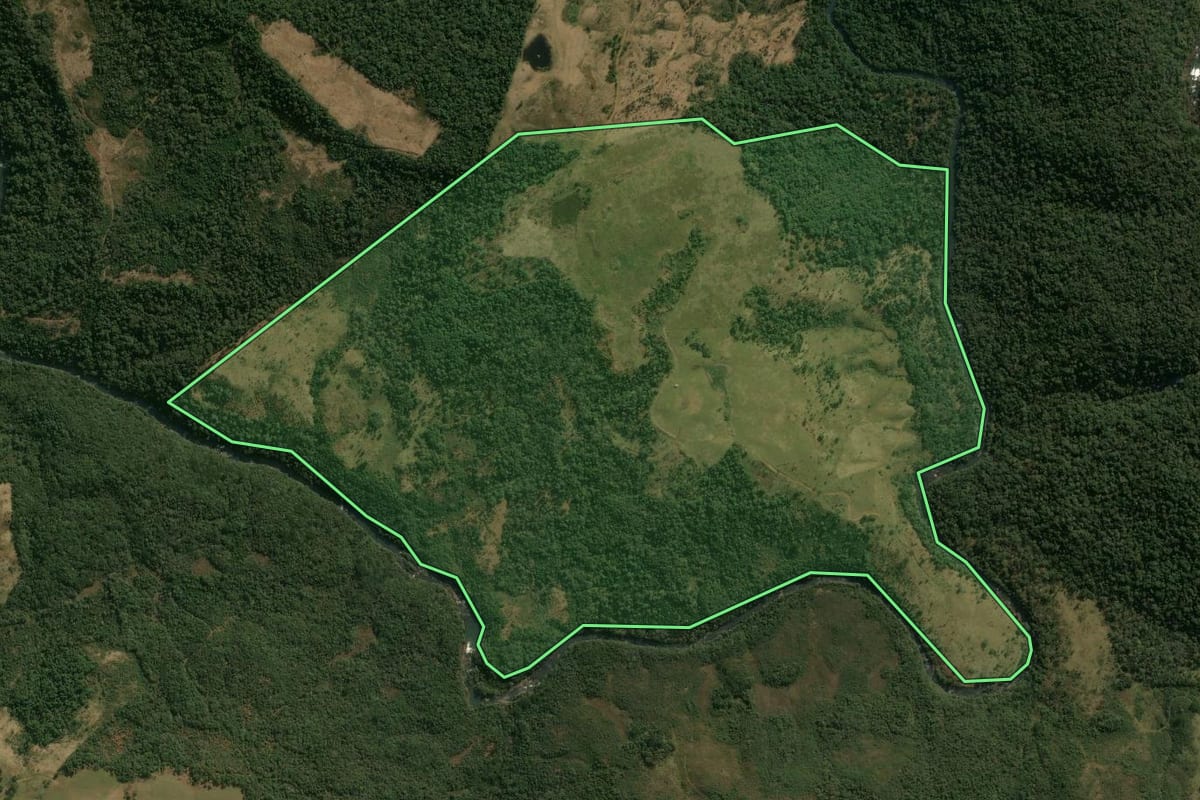 Imagem de satélite do imóvel rural em Pinhão (PR), com o contorno declarado no CAR desenhado por cima.
