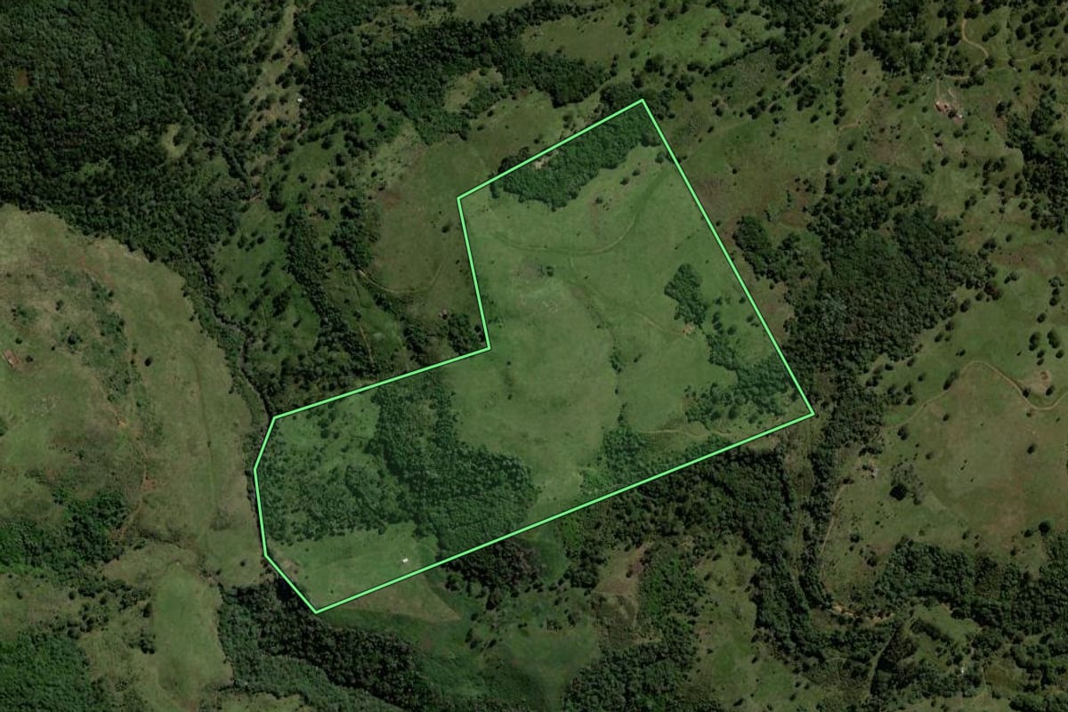 Imagem de satélite do imóvel rural em Pinhão (PR), com o contorno declarado no CAR desenhado por cima.