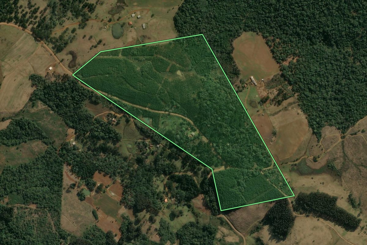 Imagem de satélite do imóvel rural em Pinhão (PR), com o contorno declarado no CAR desenhado por cima.
